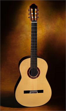 Classical shop guitars international